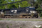 NS 4389